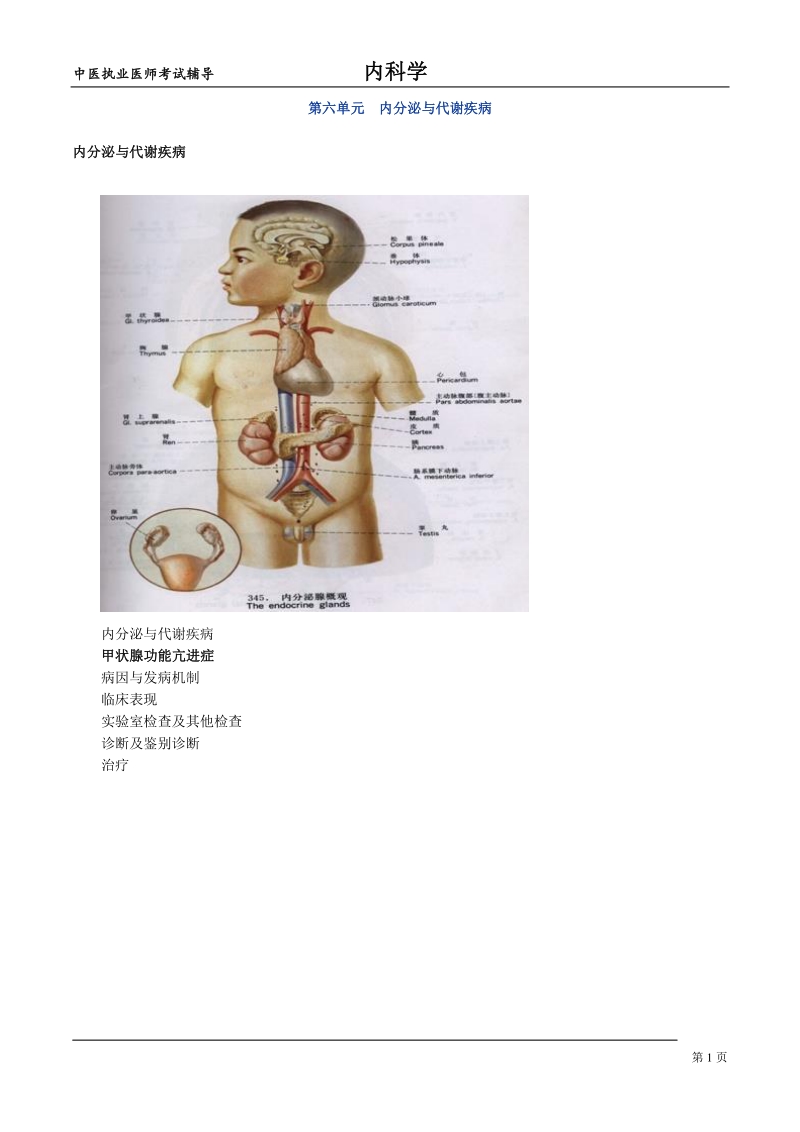 中医执业医师内科学讲义：内分泌与代谢疾病_第1页