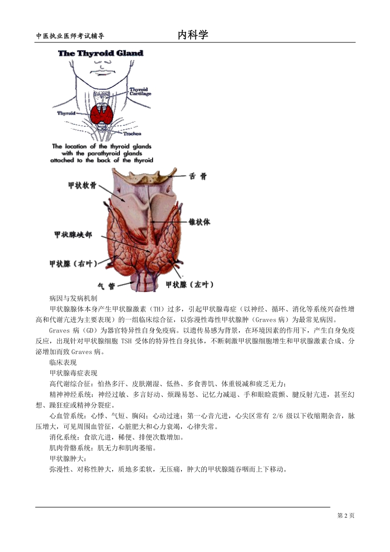 中医执业医师内科学讲义：内分泌与代谢疾病_第2页