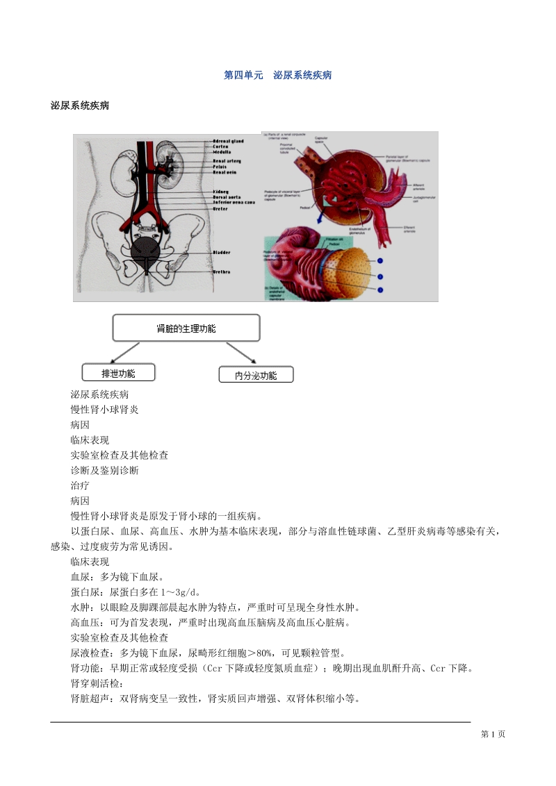 中医执业医师内科学讲义：泌尿系统疾病_第1页