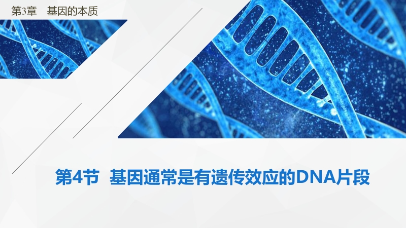 3.4 基因通常是有遗传效应的DNA片段ppt课件（2020年新教材人教版生物必修第二册）_第1页
