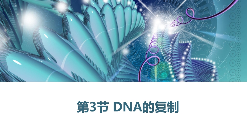 3.3 DNA的复制ppt课件（2020年新教材人教版生物必修第二册）_第1页