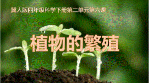 2021年冀人版四年级科学下册6.植物的繁殖ppt课件