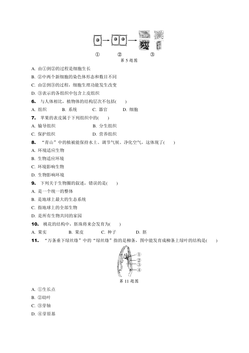 2021年云南省初中学业水平考试生物模拟试卷（四）含答案_第2页