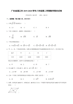 广东省湛江市2019-2020学年八年级第二学期数学期末试卷（含答案）