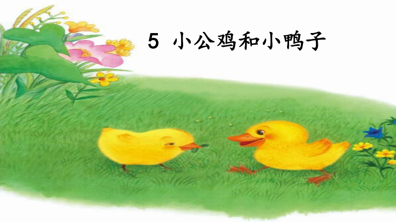 课文5《小公鸡和小鸭子》课件（共33张ppt）_第2页