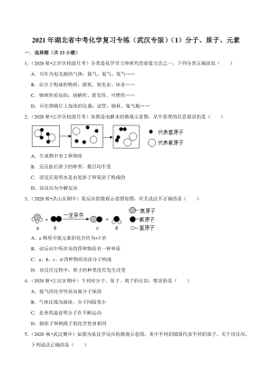2021年湖北省武汉市中考化学复习专练（1）分子、原子、元素（含答案解析）