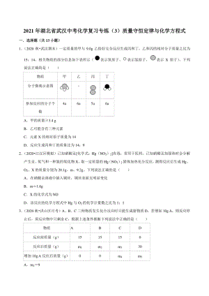 2021年湖北省武汉市中考化学复习专练（3）质量守恒定律与化学方程式（含答案解析）