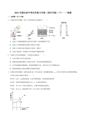 2021年湖北省武汉市中考化学复习专练（7）溶液（含答案解析）