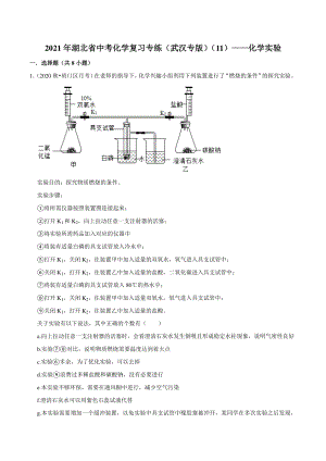 2021年湖北省武汉市中考化学复习专练（11）化学实验（含答案解析）