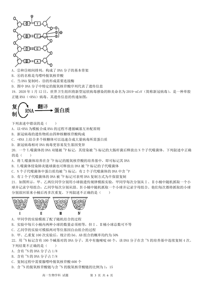 2021年浙江省温州新力量联盟期中联考高一下生物试卷（含答案）_第3页