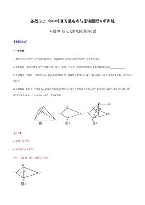 专题09 新定义型几何图形问题（教师版含解析） -2021年中考数学复习重难点与压轴题型专项训练