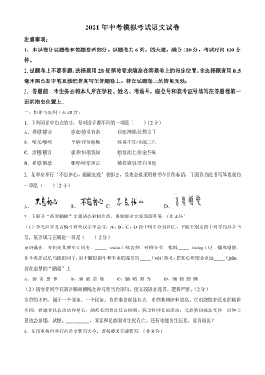 2021年河南省安阳市中考一模语文试题（含答案）