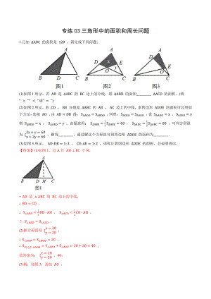 专练03 三角形中的面积和周长问题-2021年中考数学压轴题专项高分突破训练（教师版含解析）
