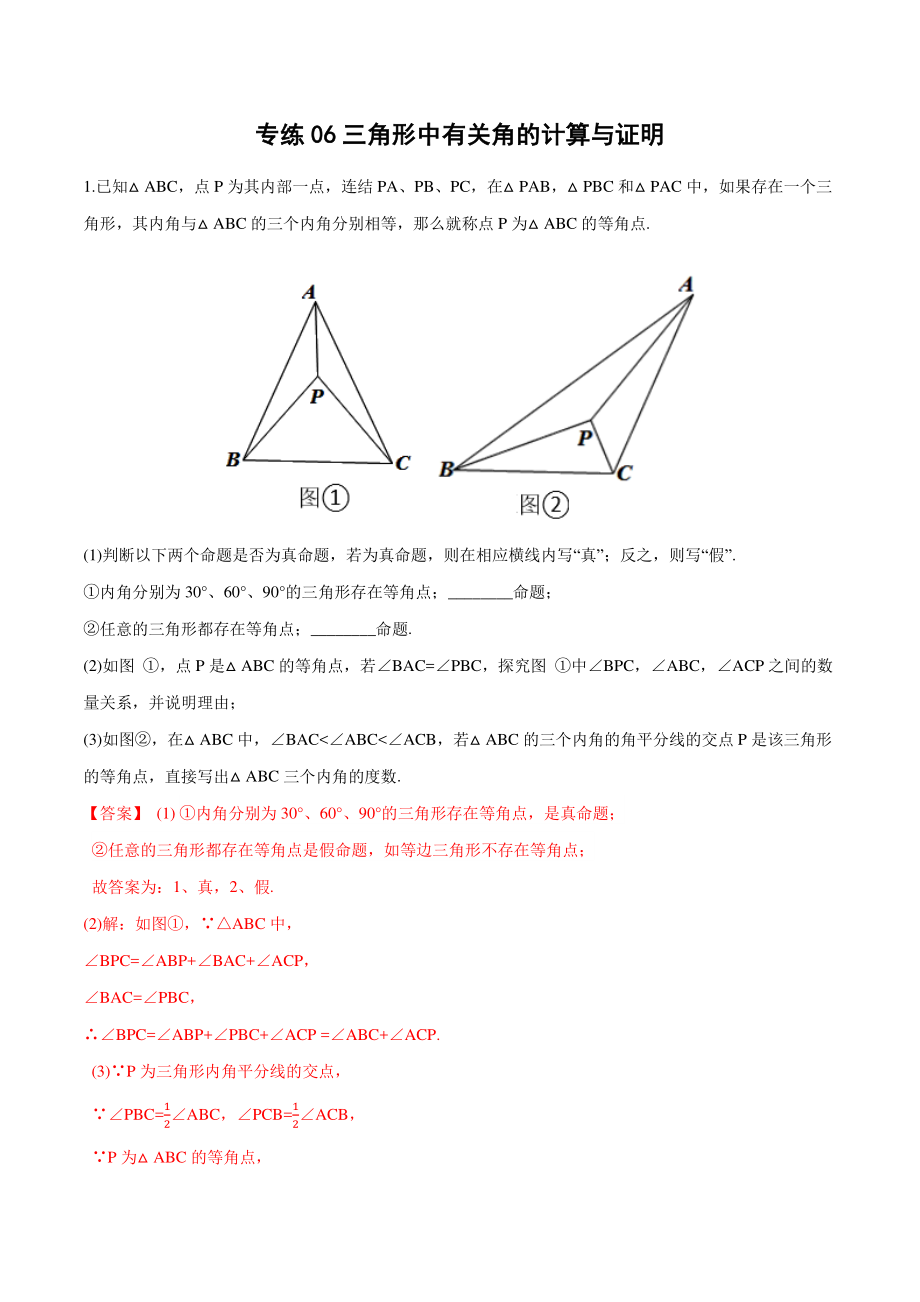 专练06 三角形中有关角的计算与证明-2021年中考数学压轴题专项高分突破训练（教师版含解析）_第1页