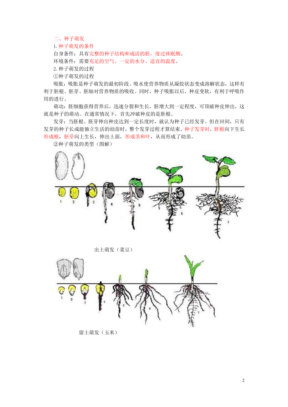 中考生物复习《绿色开花植物的一生》知识点总结_第2页