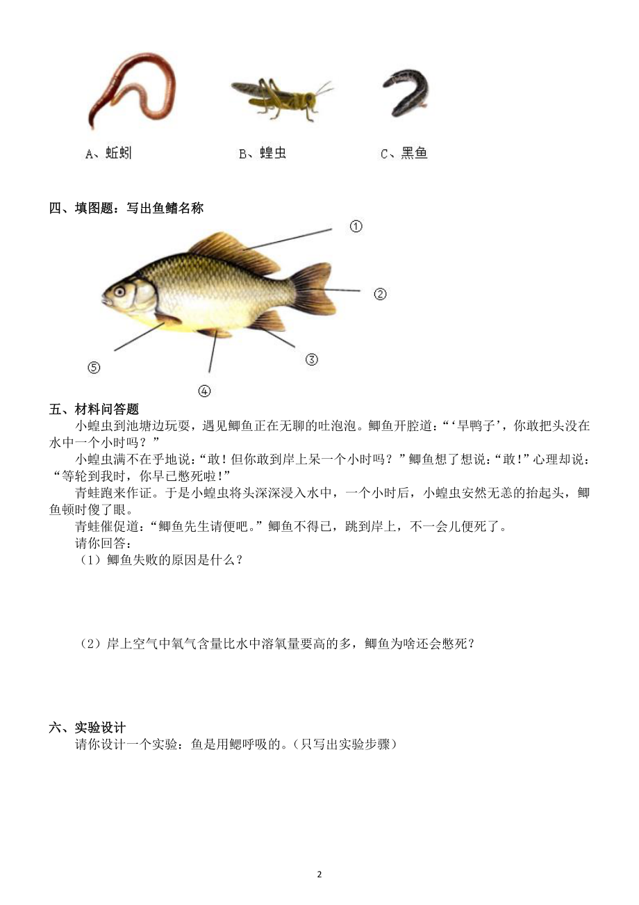 第2课 鱼类 同步练习（含答案）_第2页