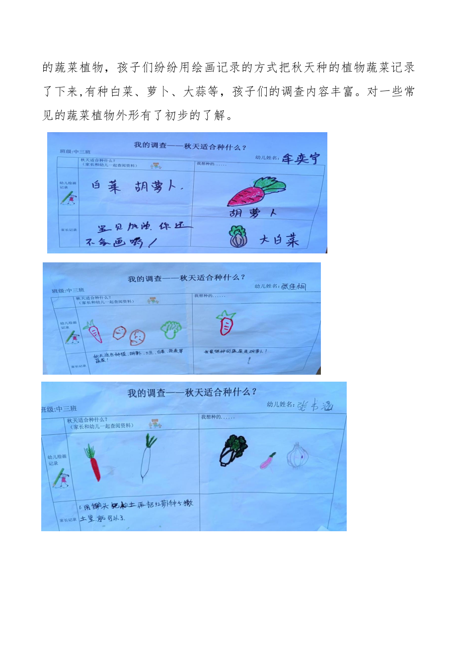 幼儿园中三班种植资料（含计划+教案总结+活动过程）_第3页
