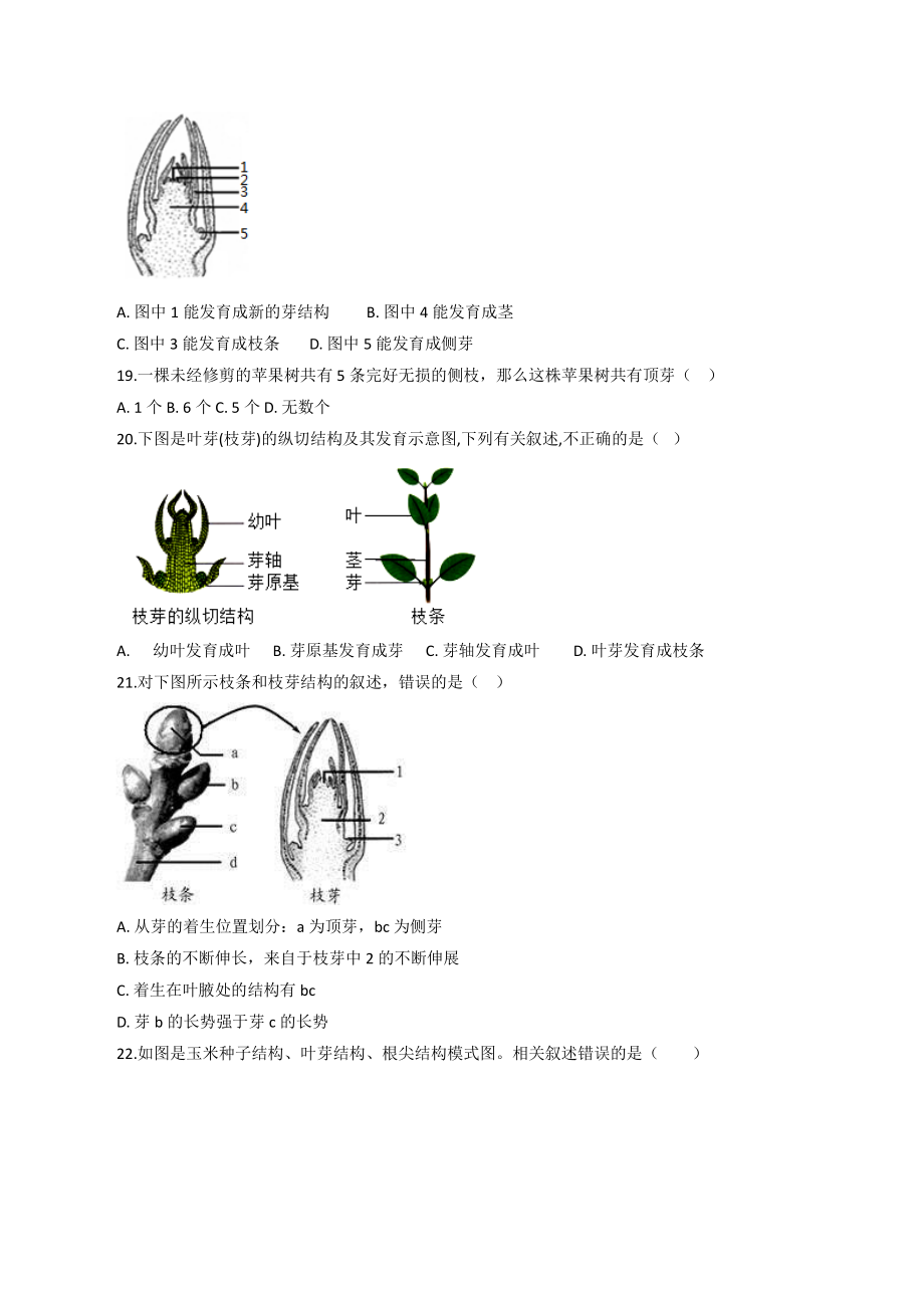 3.5.4植物茎的输导功能 同步训练（含答案）2022年苏教版七年级生物上册_第3页