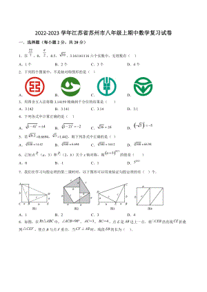 2022-2023学年江苏省苏州市八年级上期中数学复习试卷（含答案解析）