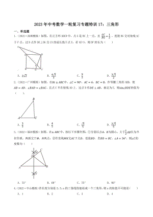 2023年广东省中考数学一轮复习专题特训17：三角形（含答案解析）