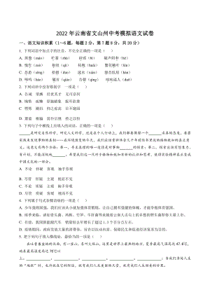 2022年云南省文山州中考模拟语文试卷（含答案解析）