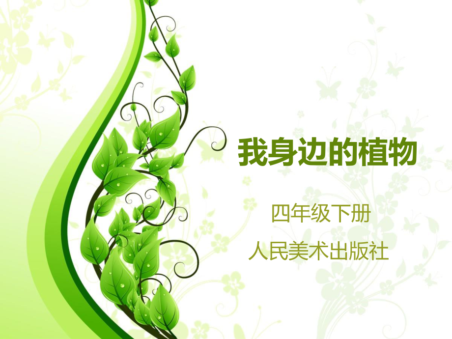 四年级下册美术课件-第12课 我们身边的植物 ▏人美版（北京） （17张PPT）_第3页