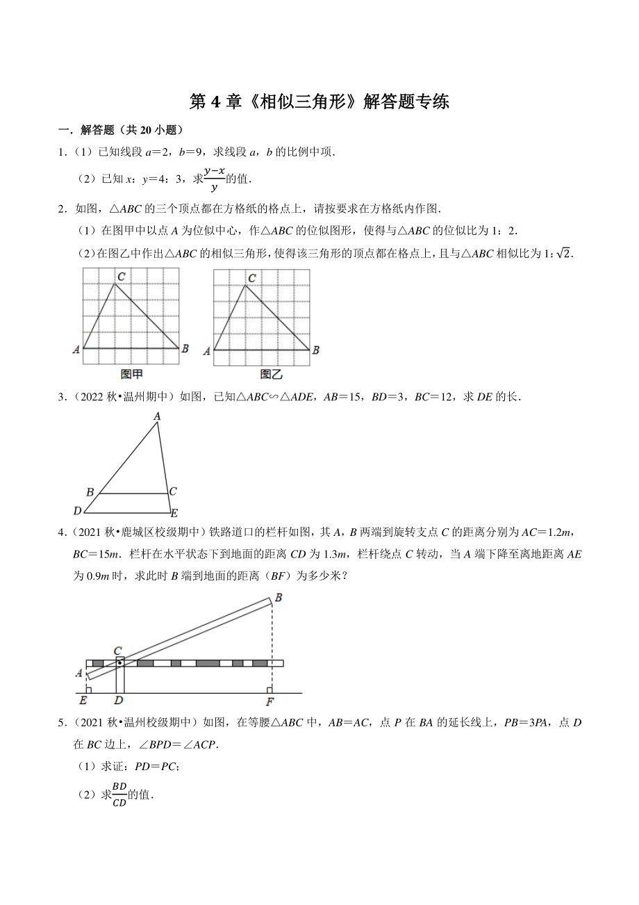 第4章《相似三角形》解答题专题练习（含答案解析）2022-2023学年浙江省温州市九年级数学上册_第1页