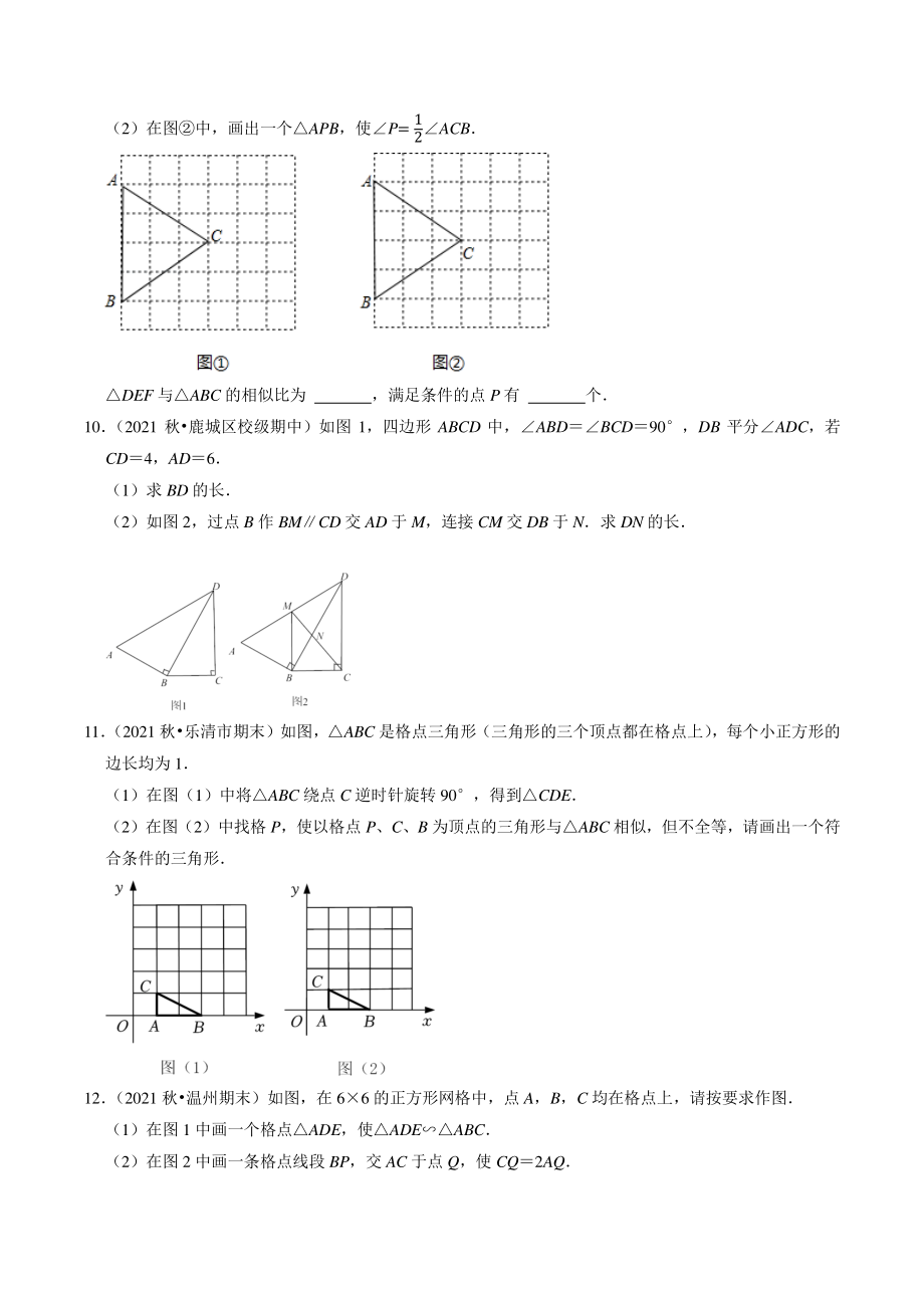 第4章《相似三角形》解答题专题练习（含答案解析）2022-2023学年浙江省温州市九年级数学上册_第3页