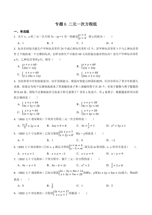 专题6：二元一次方程组（含答案解析）2023年湖南省中考数学一轮复习专题训练