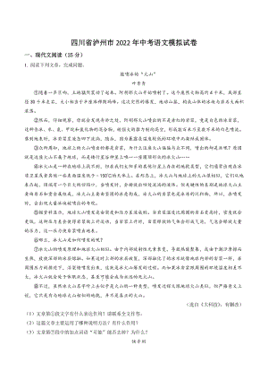 2022年四川省泸州市中考模拟语文试卷（含答案解析）