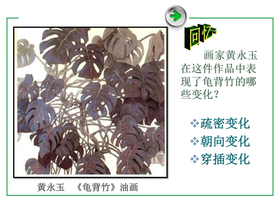 四年级下册美术课件-第12课我们身边的植物（人美版北京）共13张ppt_第3页