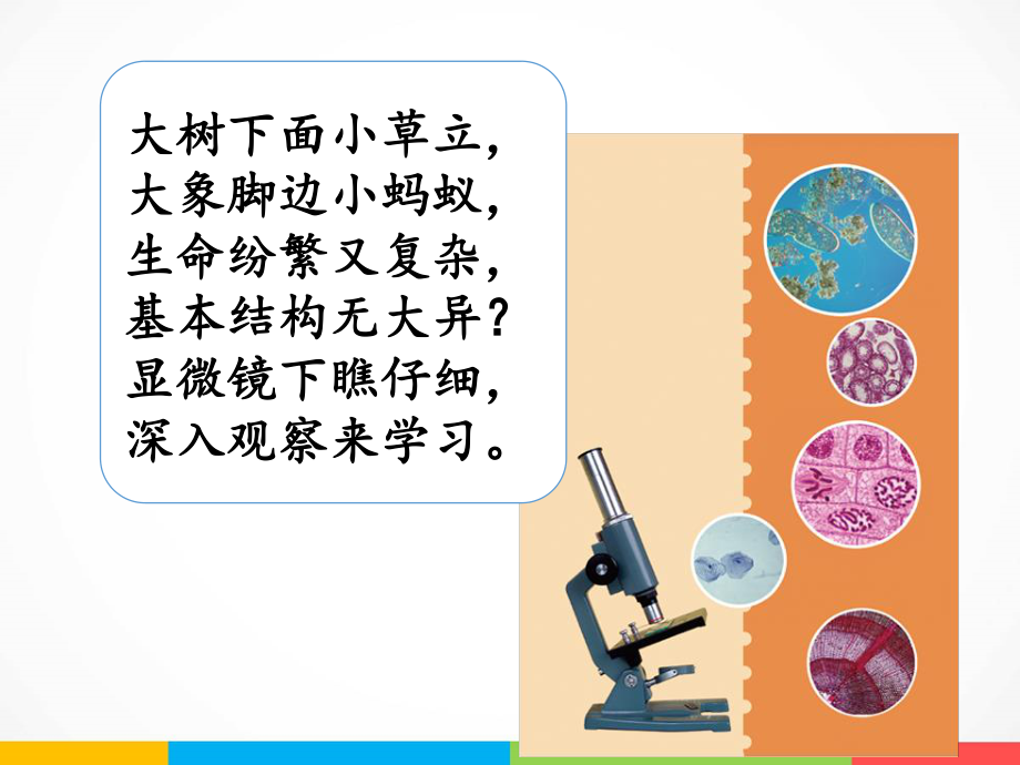 2022年湘科版五年级下册科学1.1神奇的显微镜ppt课件_第2页