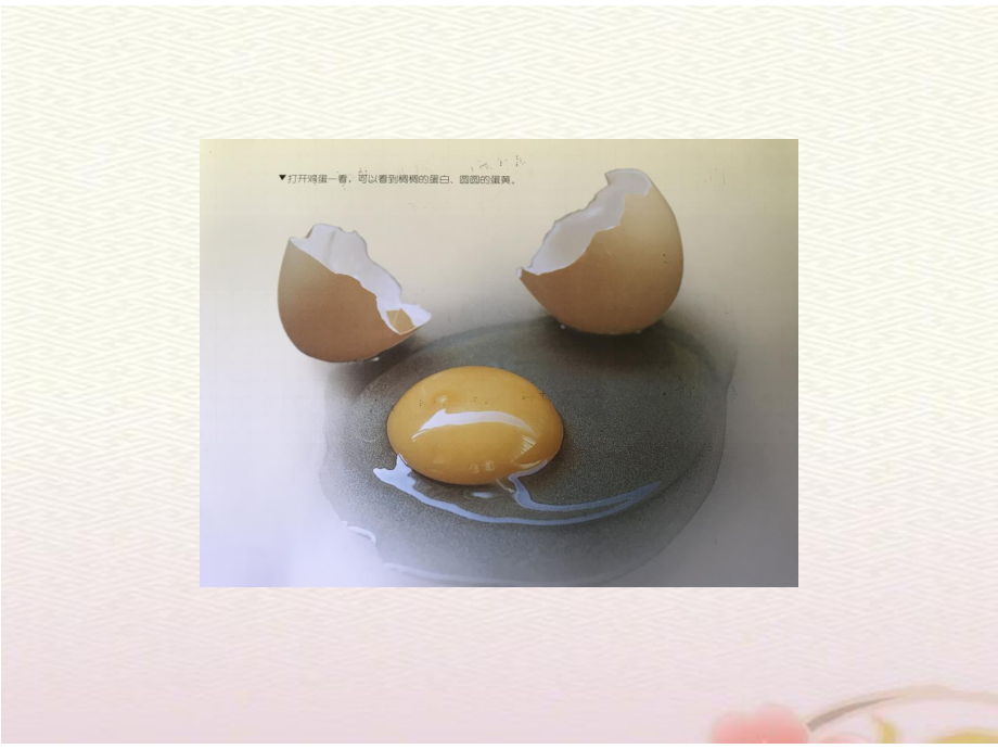 中班科学《三色蛋---蛋是什么？》微课件_第3页
