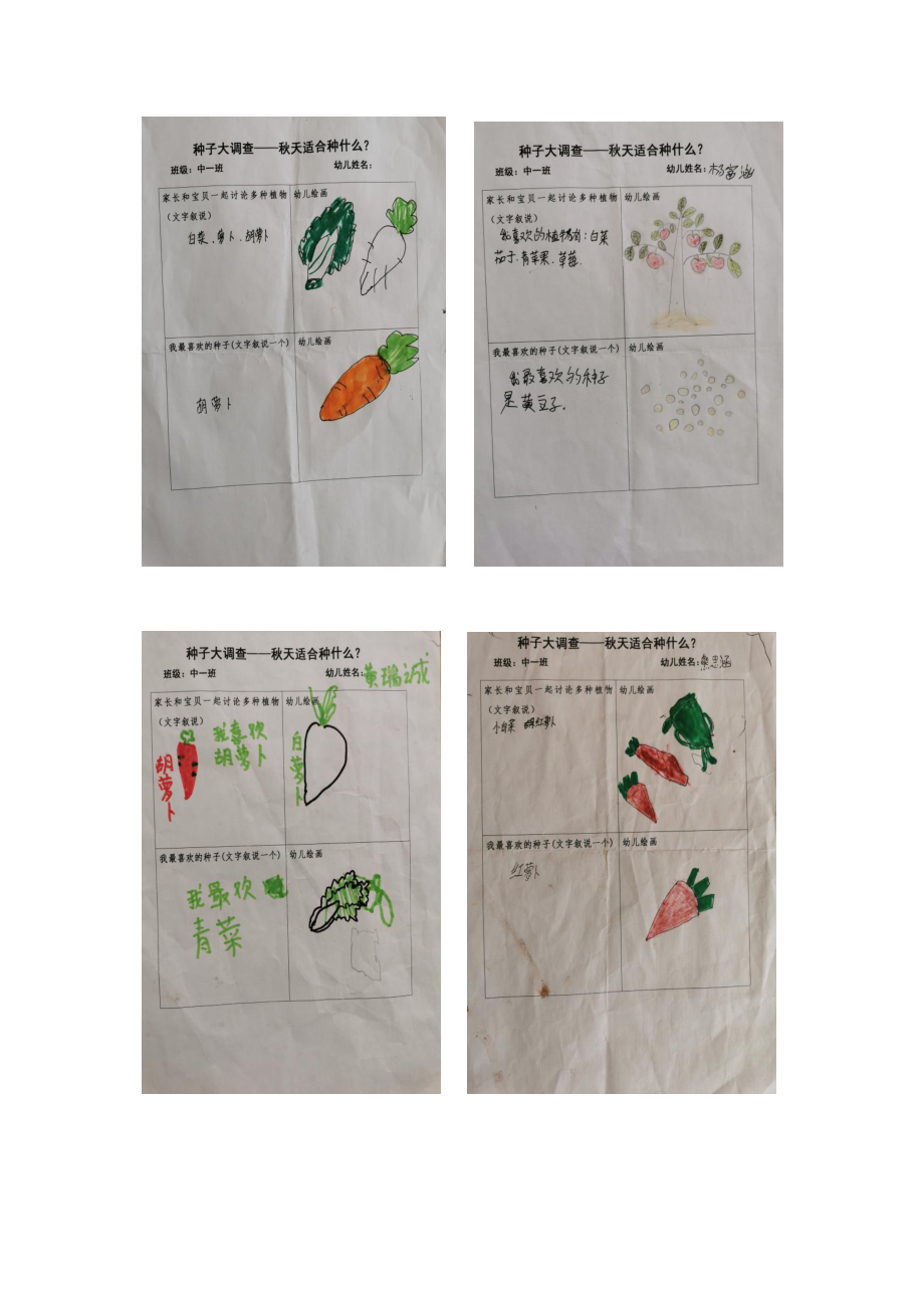幼儿园第一阶段种植中一班_第2页