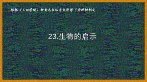2022年新青岛版（五四学制）四年级科学下册《23.生物的启示》课件