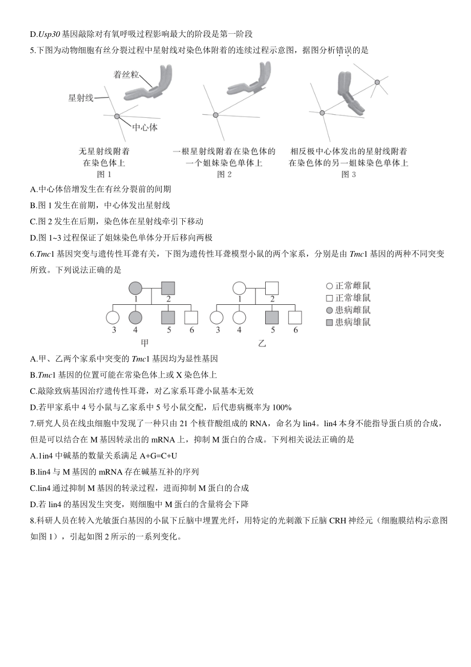 2022年北京市东城区高三一模生物试卷（含答案）_第2页