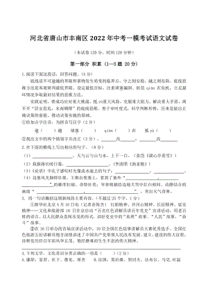 河北省唐山市丰南区2022年中考一模考试语文试卷（含答案）