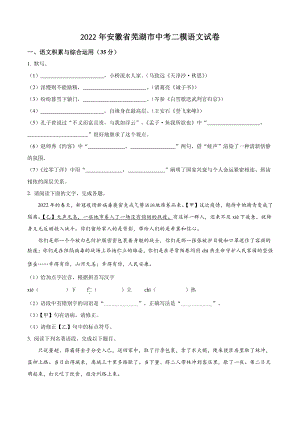 2022年安徽省芜湖市中考二模语文试卷（含答案解析）