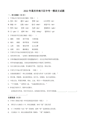 2022年重庆市南川区中考一模语文试卷（含答案解析）