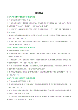 2022年广东省中考语文模拟试题分类汇编：病句修改（含答案）