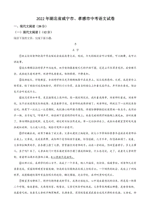 2022年湖北省咸宁市、孝感市中考语文试卷（含答案解析）