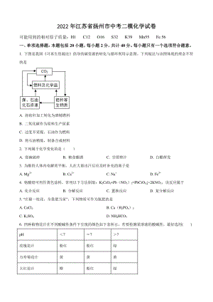 2022年江苏省扬州市中考二模化学试卷（含答案解析）