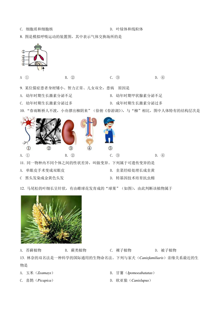 2022年江苏省泰州市中考生物试卷（含答案解析）_第2页