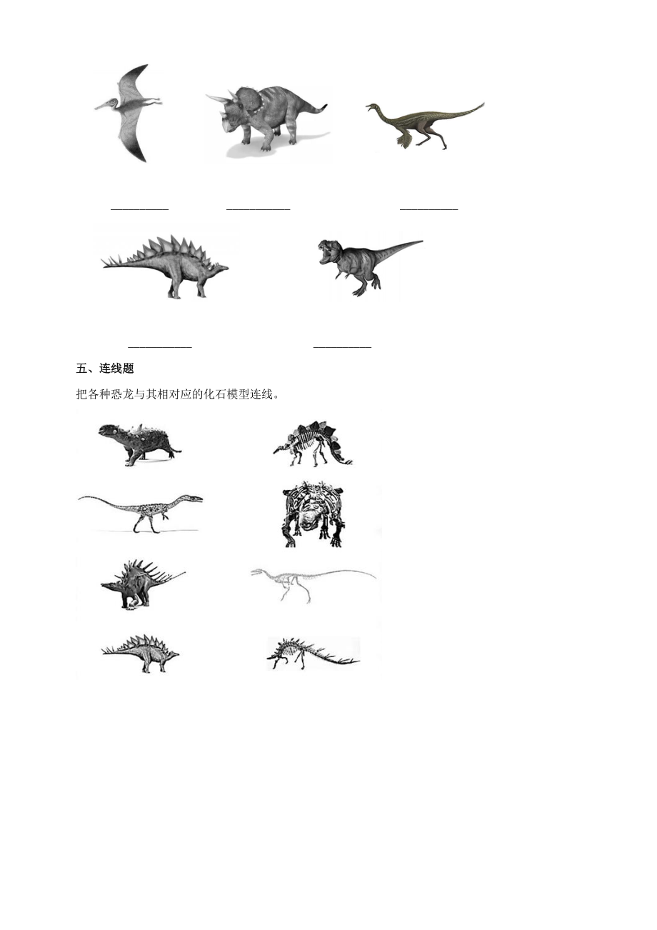 3.8《消逝的恐龙》练习（含答案）_第2页