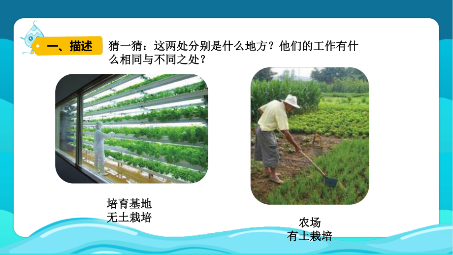 新苏教版六上科学5.16《人造肥料与现代农业》优质课件_第2页