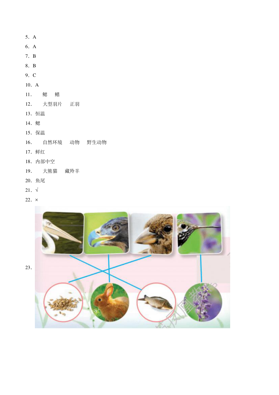 2022年秋苏教版四年级科学上册《第一单元动物大家族》单元试卷（含答案）_第3页