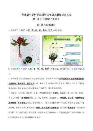第1单元《植物的“身体”》知识点（2022年秋青岛版小学科学五四制三年级上册）