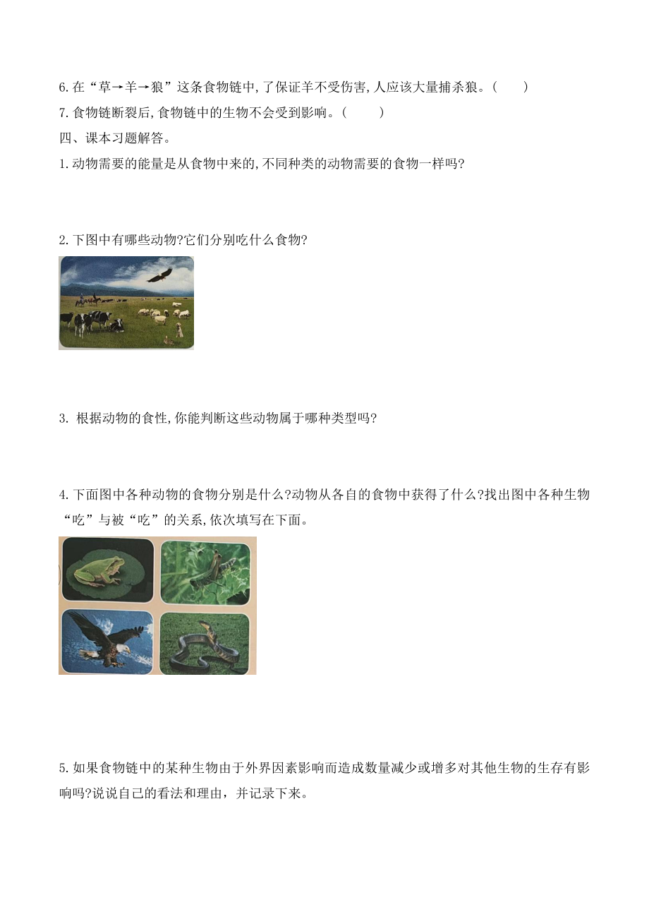 13.动物与能量 同步练习（含答案）2022年秋冀人版六年级科学上册_第2页