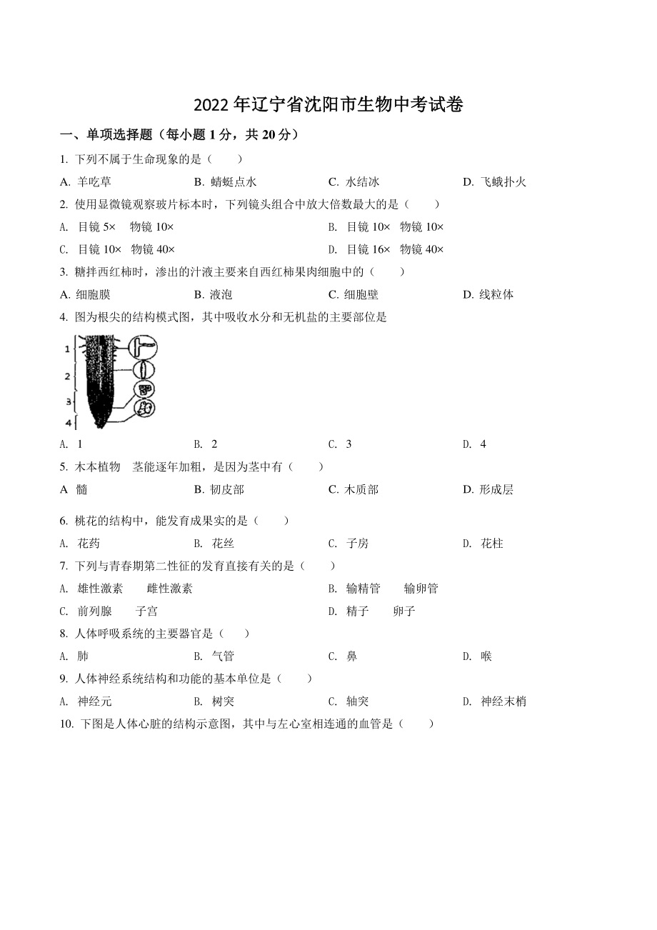 2022年辽宁省沈阳市生物中考试卷（含答案解析）_第1页