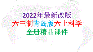 2022年新改版青岛版六年级上册科学全册课件（六三制）